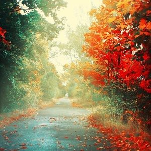 Meet your Posher, Ngun