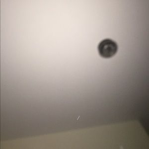 Meet your Posher, Chandler