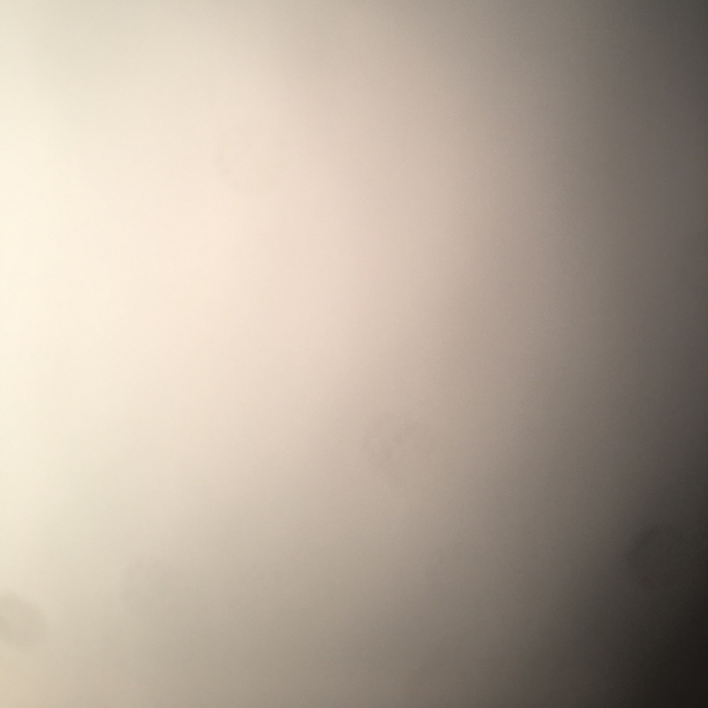 Meet your Posher, Ben