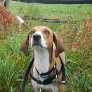 Meet your Posher, Lili