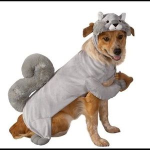 Dog Squirrel Costume