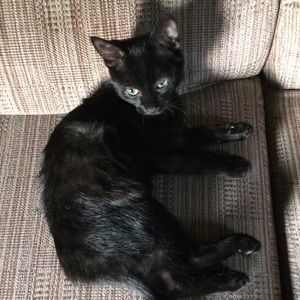 Meet your Posher, Leeann