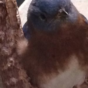 Meet your Posher, Andy