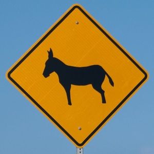 Meet your Posher, Lei