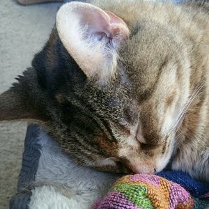 Meet your Posher, Christy