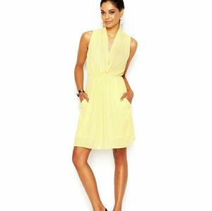 amazing bar iii dress