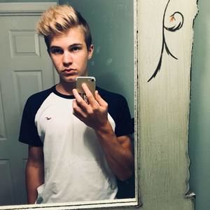 Meet your Posher, Phoenix