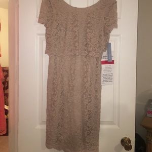 Beautiful gold beige short lace dress. Brand new