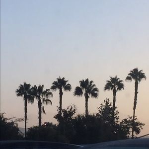 Meet your Posher, Nohemi