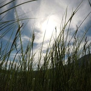 Meet your Posher, Logan