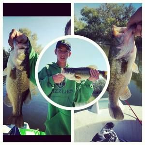 Meet your Posher, Sean