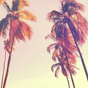 Meet your Posher, Darius