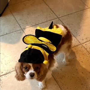 Meet your Posher, Mari