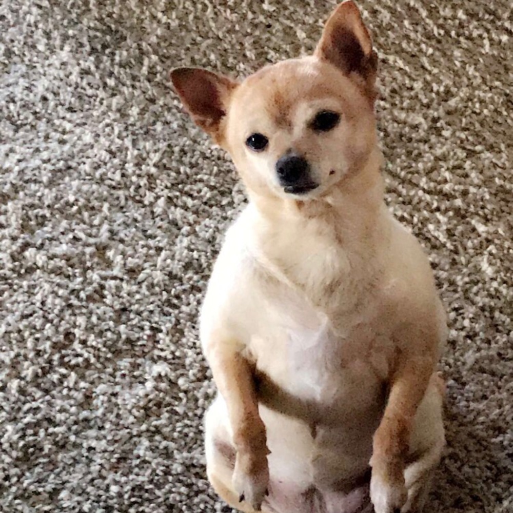 Meet your Posher, Bryan