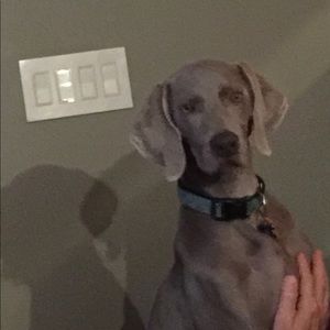 Meet your Posher, Denise