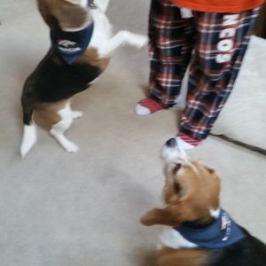 Meet your Posher, Vickie