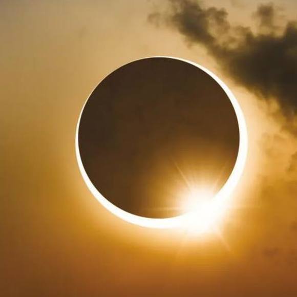 Meet your Posher, Winnie - Picture 1 of 1