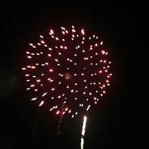 Meet your Posher, Theresa