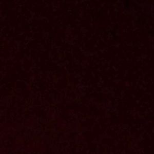 Meet your Posher, Sidney