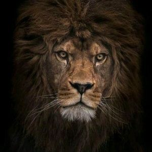 Meet your Posher, Adrienne