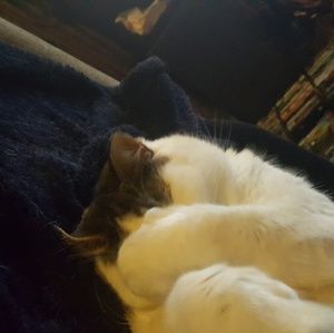 Meet your Posher, Nick