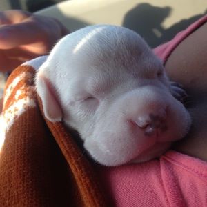 Meet your Posher, Jeff