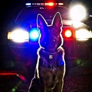 Meet your Posher, Renatta