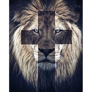 Meet your Posher, Josh