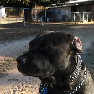 Meet your Posher, Lorene