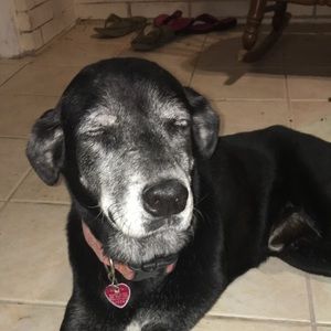 Meet your Posher, Tori