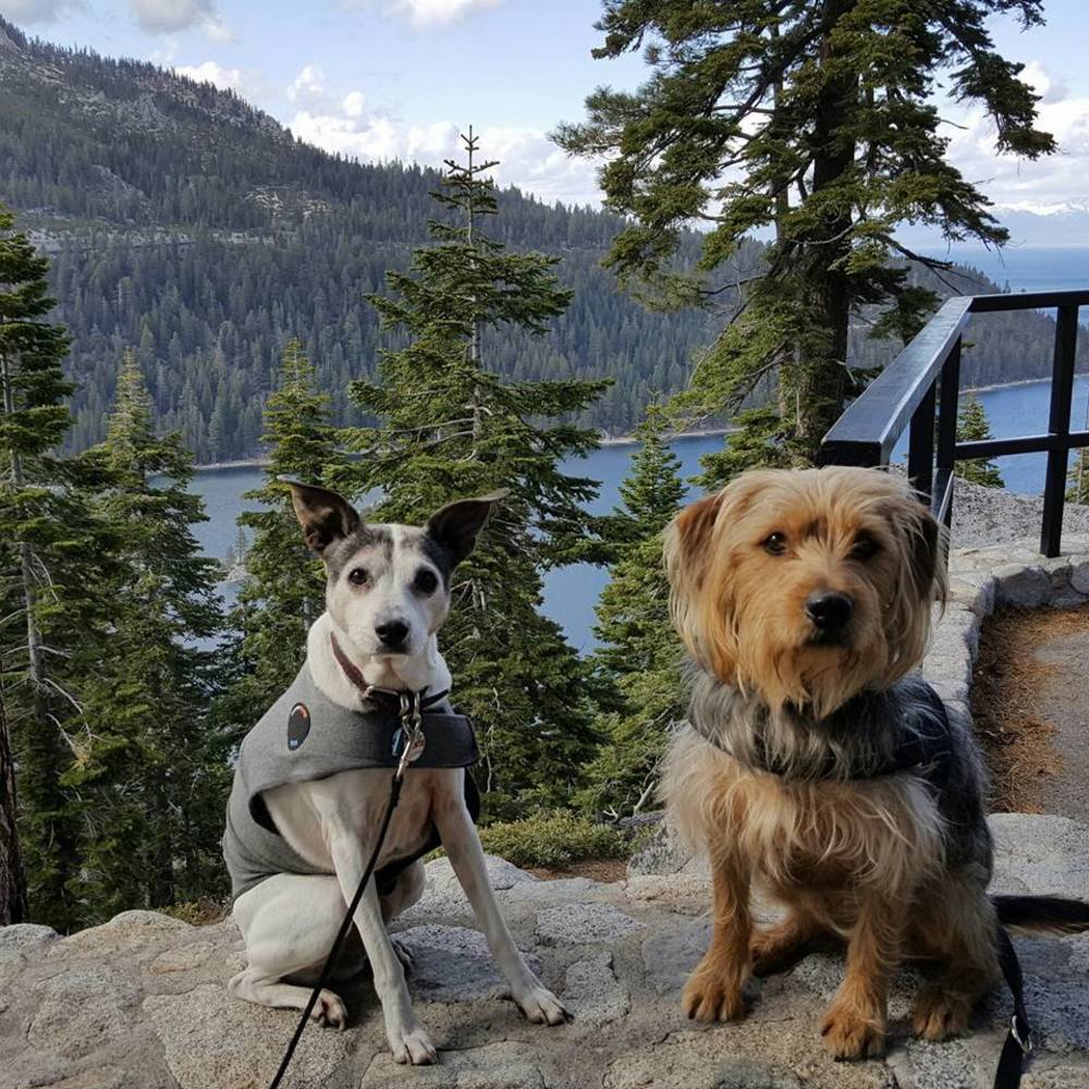 Meet your Posher, Lynne