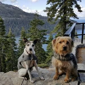 Meet your Posher, Lynne