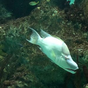 Meet your Posher, Jim