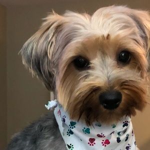 Meet your Posher, Shawnte