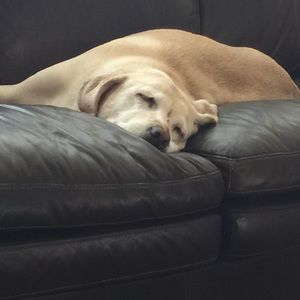 Meet your Posher, Lee