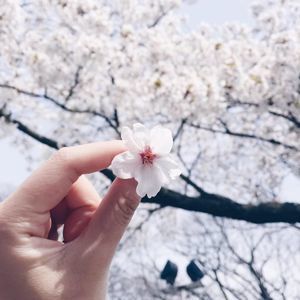 Meet your Posher, Harriet