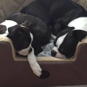 Meet your Posher, Rhonda