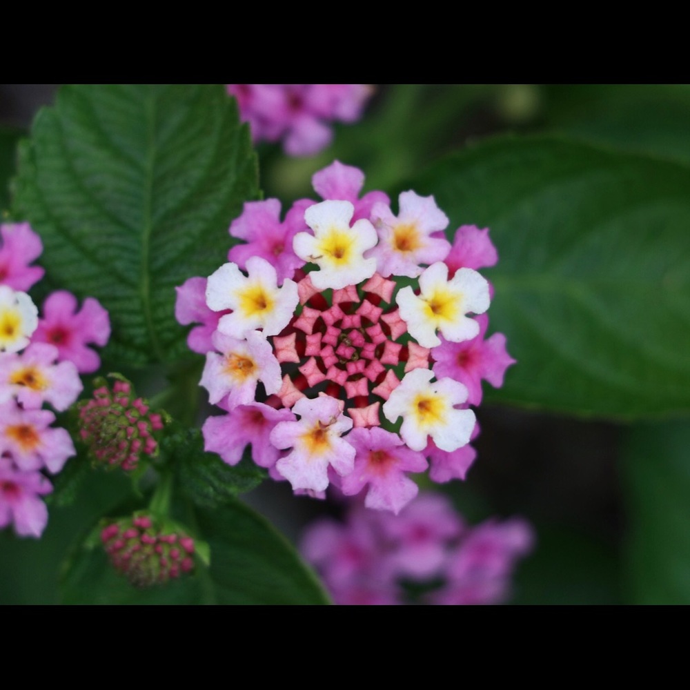 Meet your Posher, Will