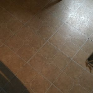 Meet your Posher, Will