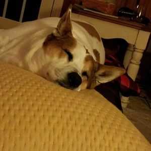 Meet your Posher, Donna