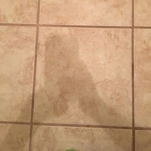 Meet your Posher, Beatrice