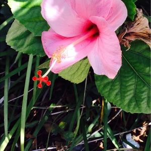 Meet your Posher, Mayte