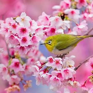 Meet your Posher, Nataly