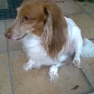 Meet your Posher, Joan