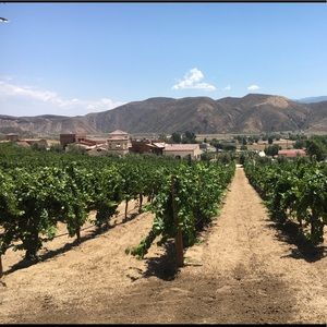 Meet your Posher, Trevor