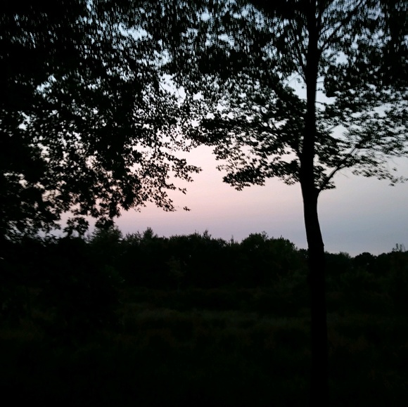 Meet your Posher, Bella - Picture 1 of 1