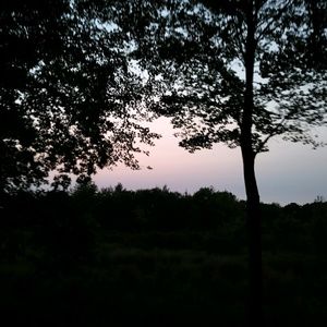 Meet your Posher, Bella