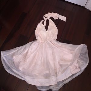 Alice + Olivia blush pink horsehair dress