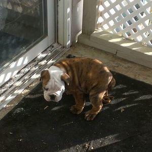 Meet your Posher, Brian