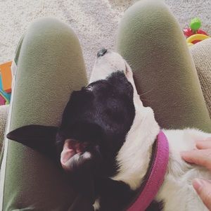 Meet your Posher, Akane